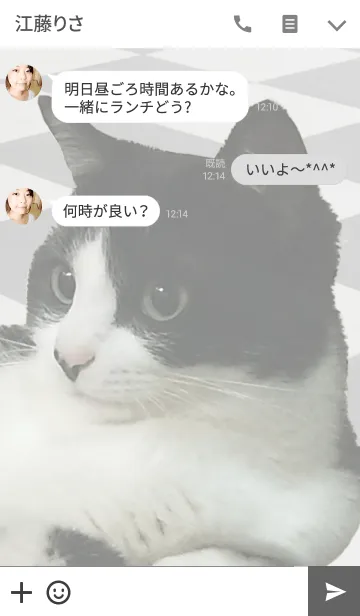 [LINE着せ替え] シュー姉の写真着せかえ＠ペットグランプリの画像3