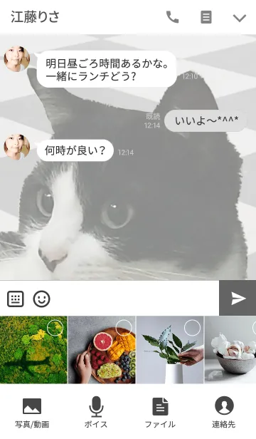 [LINE着せ替え] シュー姉の写真着せかえ＠ペットグランプリの画像4