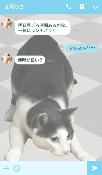 [LINE着せ替え] ダムちゃん＠ペットグランプリの画像3