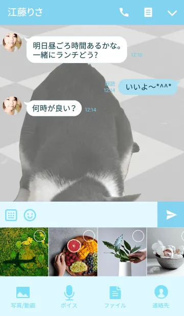 [LINE着せ替え] ダムちゃん＠ペットグランプリの画像4