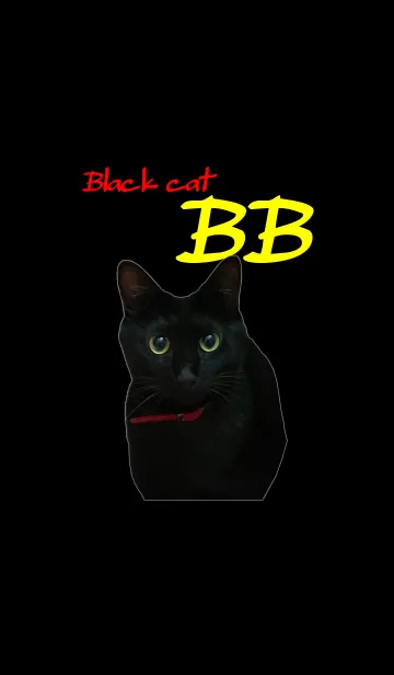[LINE着せ替え] 黒猫ビイビ＠ペットグランプリの画像1