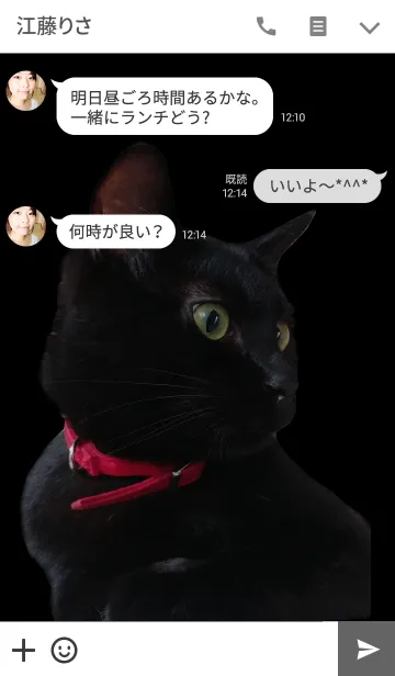 [LINE着せ替え] 黒猫ビイビ＠ペットグランプリの画像3
