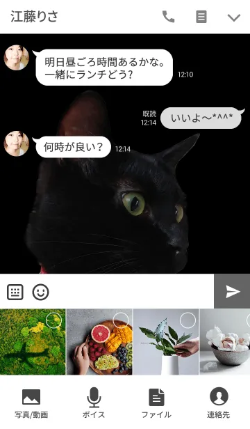 [LINE着せ替え] 黒猫ビイビ＠ペットグランプリの画像4