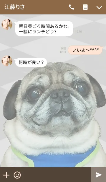 [LINE着せ替え] パグのぶーちゃん@ペットグランプリの画像3