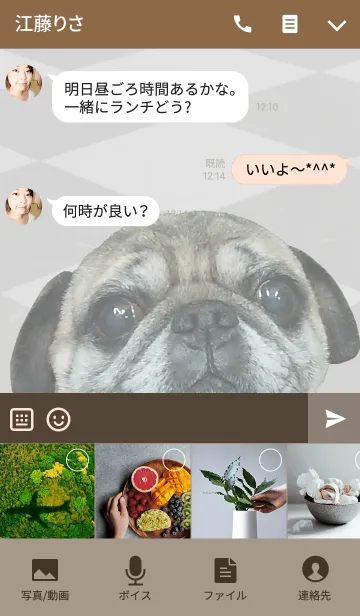 [LINE着せ替え] パグのぶーちゃん@ペットグランプリの画像4