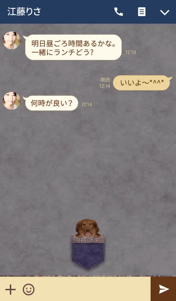 [LINE着せ替え] ポケット*だっくす＠ペットグランプリの画像3