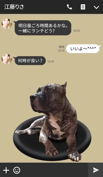 [LINE着せ替え] ピット エス ＠ペットグランプリ ver.の画像3