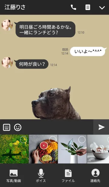 [LINE着せ替え] ピット エス ＠ペットグランプリ ver.の画像4