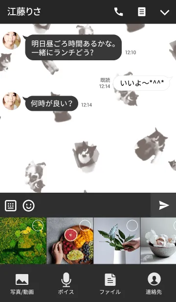 [LINE着せ替え] メインクーンのオレオ2＠ペットグランプリの画像4