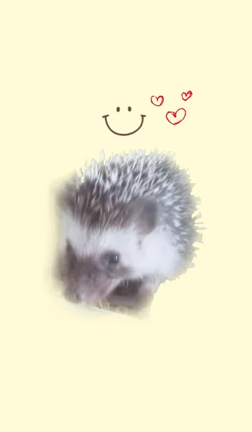 [LINE着せ替え] ハリネズミ「＠ペットグランプリ」の画像1