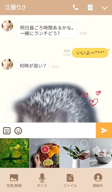 [LINE着せ替え] ハリネズミ「＠ペットグランプリ」の画像4