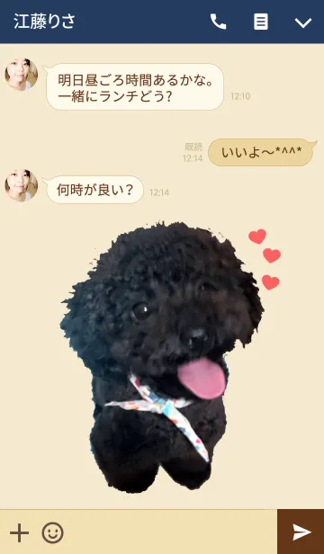 [LINE着せ替え] トイプードル「＠ペットグランプリ」の画像3