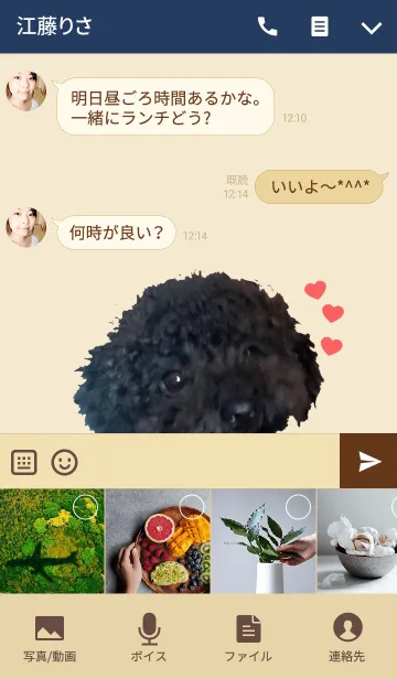 [LINE着せ替え] トイプードル「＠ペットグランプリ」の画像4