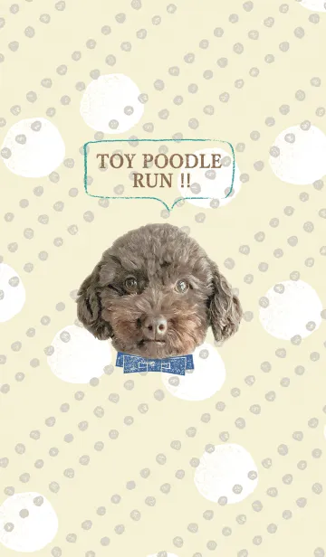 [LINE着せ替え] ＠ペットグランプリ トイプードル RUN！の画像1
