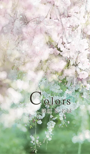 [LINE着せ替え] Colors 淡紅 ＆ 若緑の画像1