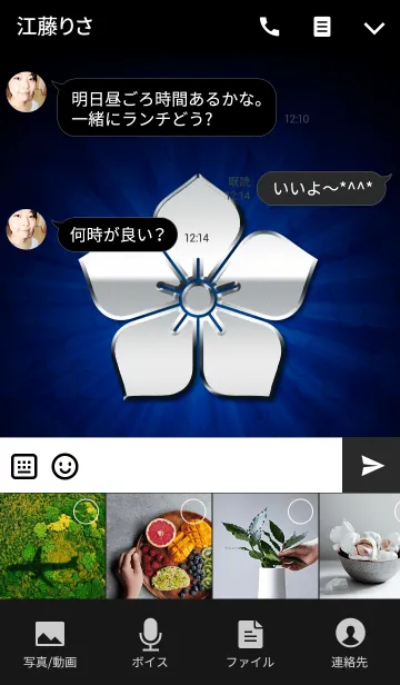 [LINE着せ替え] 家紋 12（桔梗）<銀>の画像4