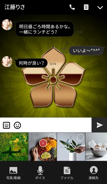 [LINE着せ替え] 家紋 12（桔梗）<銅>の画像4