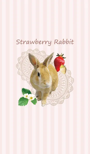 [LINE着せ替え] ＠ペットグランプリ Strawberry ＆ Rabbitの画像1