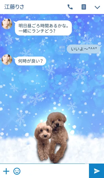 [LINE着せ替え] トイプーのモグとマルコ＠ペットグランプリの画像3