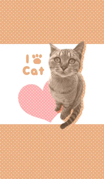 I♥CAT THEME2@ペットグランプリの着せ替えメイン画像