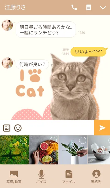 [LINE着せ替え] I♥CAT THEME2@ペットグランプリの画像4