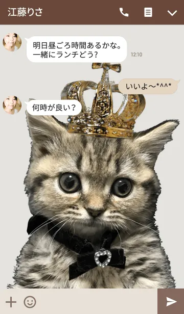 [LINE着せ替え] ミヌエットのショコラの子猫写真着せ替え2の画像3