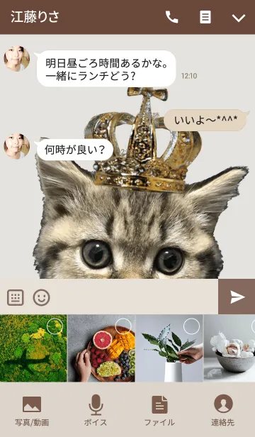 [LINE着せ替え] ミヌエットのショコラの子猫写真着せ替え2の画像4