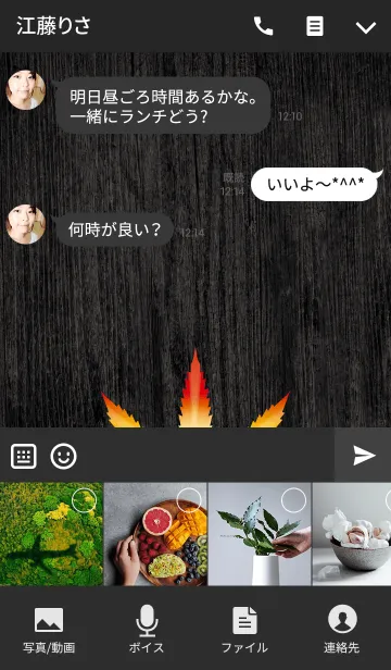 [LINE着せ替え] Rasta of Freedom -JPver-の画像4