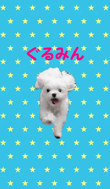 [LINE着せ替え] ぐるみん＠ペットグランプリの画像1