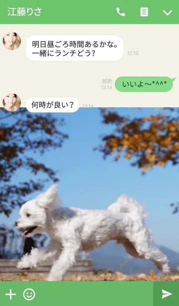 [LINE着せ替え] ぐるみん＠ペットグランプリの画像3