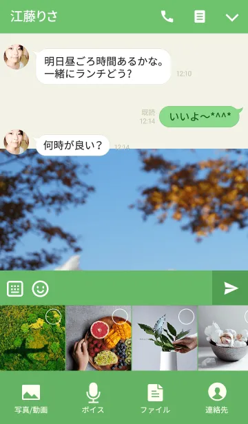 [LINE着せ替え] ぐるみん＠ペットグランプリの画像4