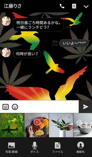 [LINE着せ替え] Rasta Bird -JPver-の画像4