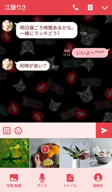 [LINE着せ替え] XOXO ～唇と猫～@ペットグランプリの画像4