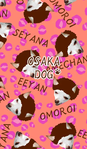 [LINE着せ替え] 大阪のおばちゃん犬＠ペットグランプリの画像1