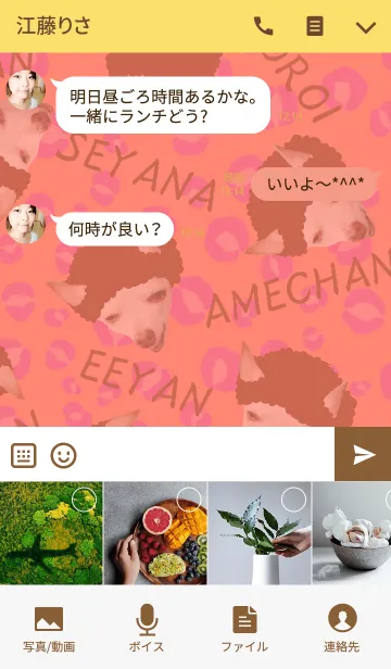 [LINE着せ替え] 大阪のおばちゃん犬＠ペットグランプリの画像4