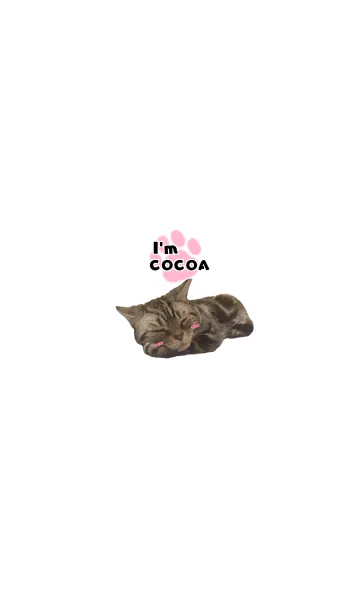 [LINE着せ替え] I'm COCOA！＠ペットグランプリの画像1