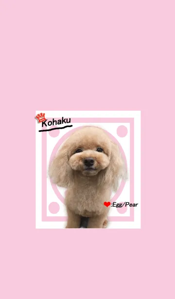 [LINE着せ替え] らぶらぶトイプーの画像1