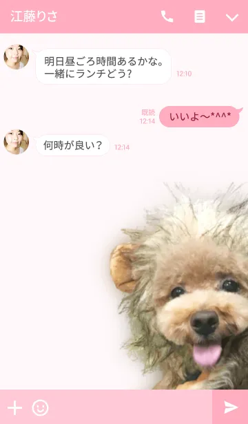 [LINE着せ替え] らぶらぶトイプーの画像3