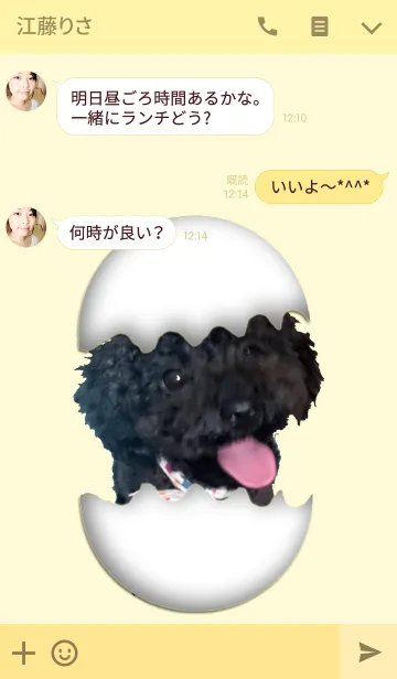 [LINE着せ替え] たまごの中から・・「＠ペットグランプリ」の画像3