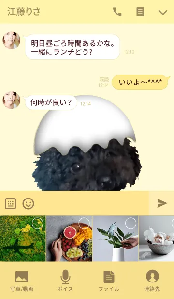 [LINE着せ替え] たまごの中から・・「＠ペットグランプリ」の画像4