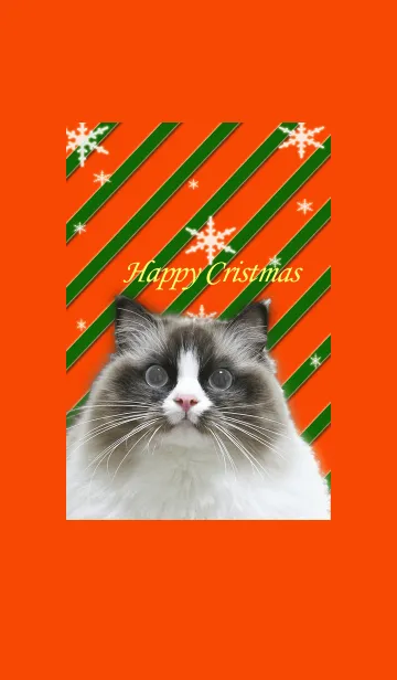 [LINE着せ替え] バアルのクリスマスの画像1