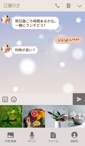 [LINE着せ替え] Bird Snowの画像4