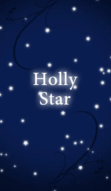[LINE着せ替え] -*Holly Star*-の画像1