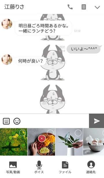 [LINE着せ替え] INUTAN3%の画像4