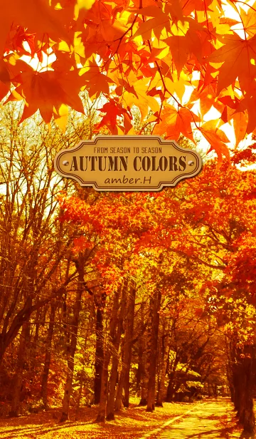 [LINE着せ替え] Autumn Colors -From season to season1-の画像1