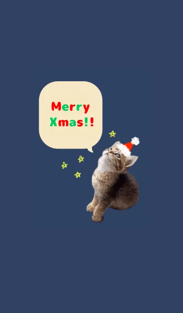 [LINE着せ替え] サンタの子猫ちゃん2の画像1