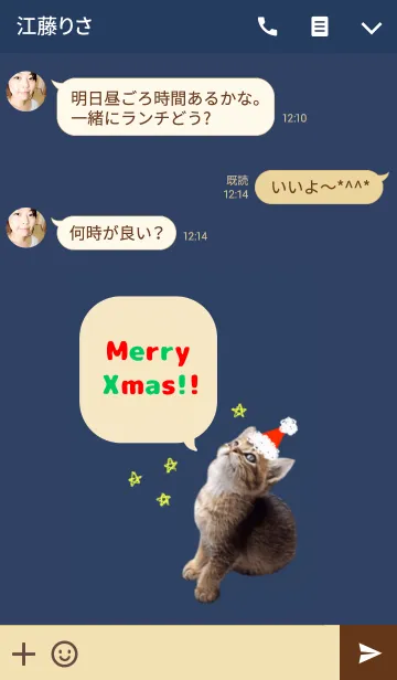 [LINE着せ替え] サンタの子猫ちゃん2の画像3