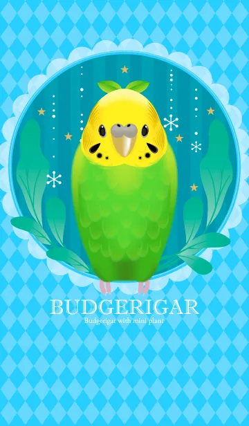 [LINE着せ替え] リアルまめインコちゃんの画像1