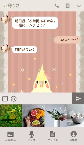[LINE着せ替え] リアルまめオカメインコちゃんの画像4