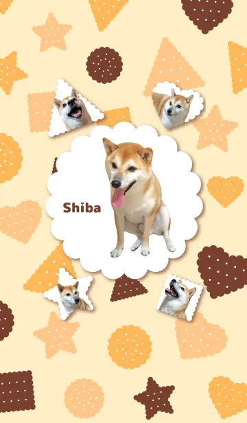 柴犬の日常14【ビスケット】の着せ替えメイン画像